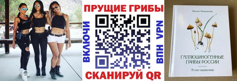 Псилоцибиновые грибы ЛСД  Купить закладки  Обоянь 